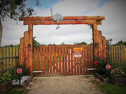 Le Clos des Ratites