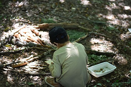 Réserve naturelle géologique de Saucats-La Brède