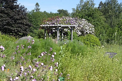 Visite Animée de l ’Herbularium
