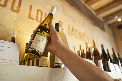 Comment apprendre le vin rapidement et facilement. L’ESSENTIEL DU VIN