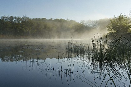 Etang de Bas et Falaises de Ravières Sensitive Natural Area