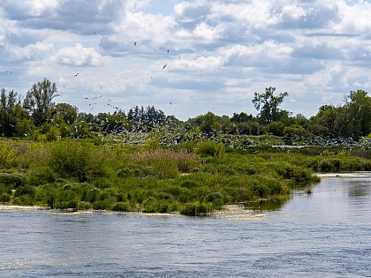 Espace naturel sensible les Rives de Beaugency