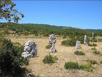 Cromlech N°2 de Peyrarines sur le Causse de Blandas