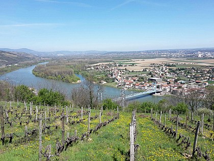 Panorama de la Madone