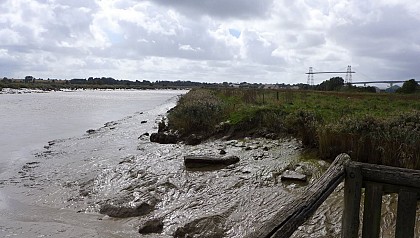 Sentier le long de la Charente, vers Rochefort