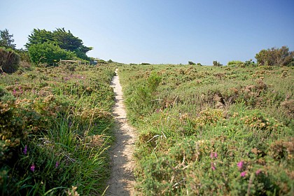 Les landes de Pen-Bé
