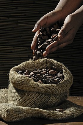 Chocolaterie Max Vauché : visites, dégustation, vente, ateliers et Choco'bar