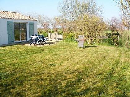 Le Saule