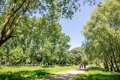Parc de Balzac