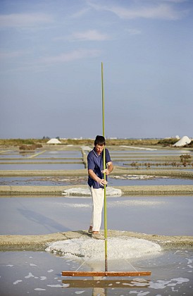 Les marais salants de Guérande