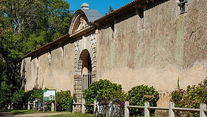 Bois du Fenestreau