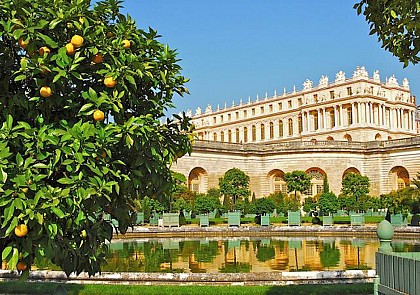 The Palace of Versailles: Tour with Audio-Guide (Transport from Paris)