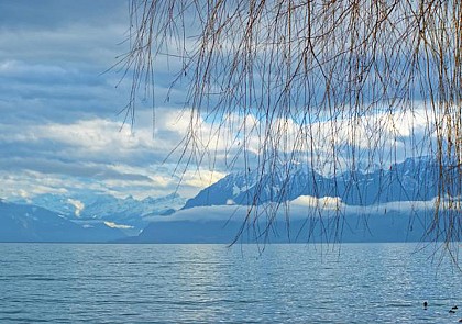 Croisière de Lausanne à Genève en bateau à vapeur