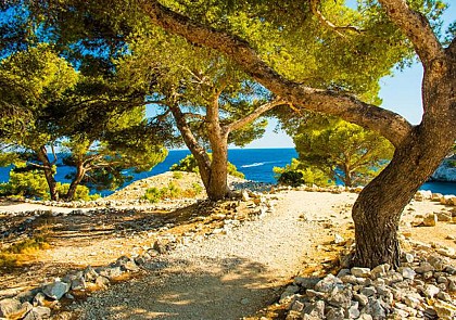 Visite guidée de Cassis et Marseille - En français