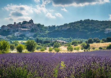 Discover the Villages of Luberon and the Lavender Fields