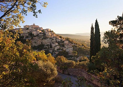 Trip to Luberon: Discover the Markets and the Lavender Fields