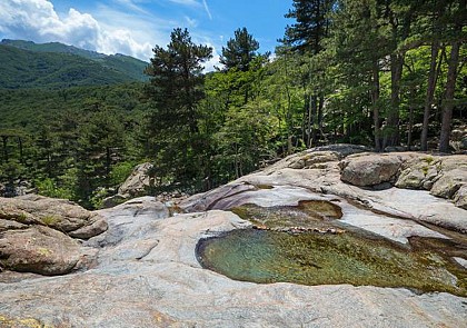 Randonnée en montagne à Vizzavona - Au départ d'Ajaccio
