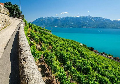 Croisière promenade sur le Lac Léman, à la découverte des vignobles de Lavaux - au départ de Lausanne