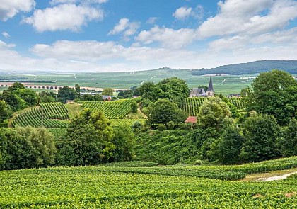 Excursion en Champagne à Reims