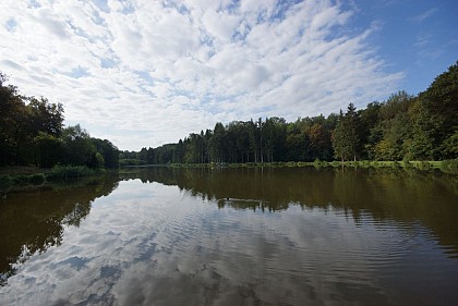 Les étangs Franchot