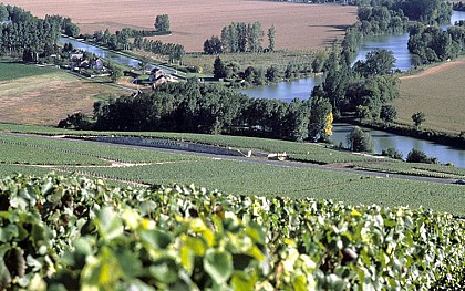 Point de vue sur la Vallée de la Marne