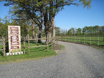 AIRE DE CAMPING CAR LA MAISON NEUVE