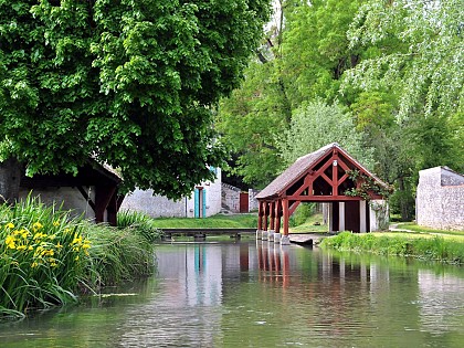 The communal wash house