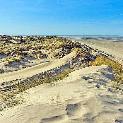 Plage de Marquenterre