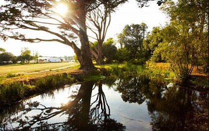 Parc des Genêts