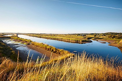 Village et marais de la Gachère