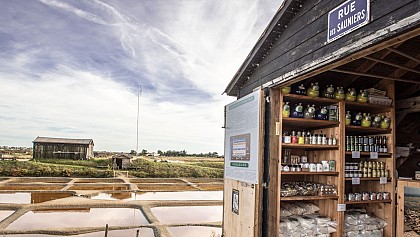 Marais des Olonnes - route touristique