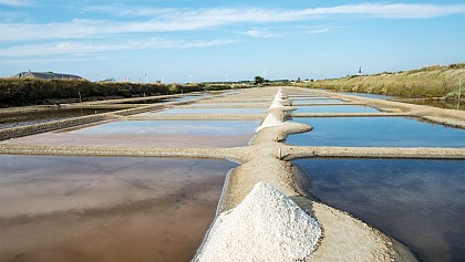 Histoire des Marais Salants