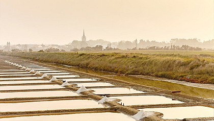 Marais Salants de l'Ile d'Olonne