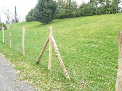 La ferme d'animation : sa basse-cour, les moutons, les chèvres.