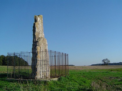 MENHIR DE LA HAUTE BORNE