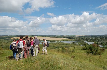 Belvédère de Frise