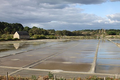 Saline de Kervillen