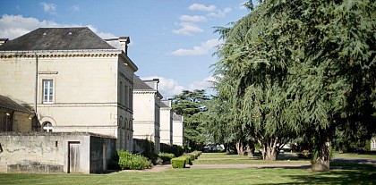Domaine de Roiffé