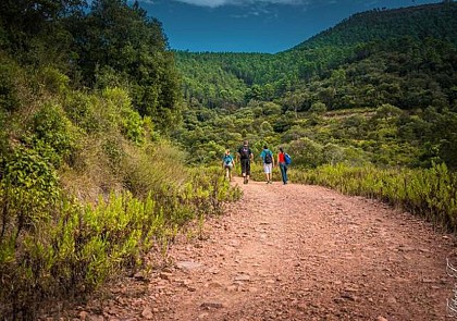 Randonnée dans le Massif de l'Estérel et apéritif local - départ à 10min de Cannes