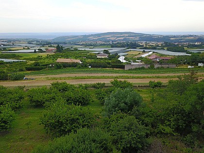 Panorama sur les Alpes et sous-bois