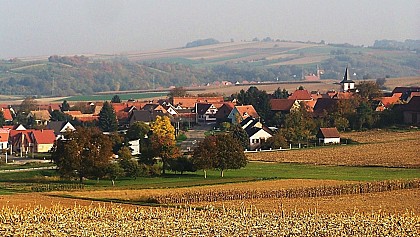 Point de vue du Markstein