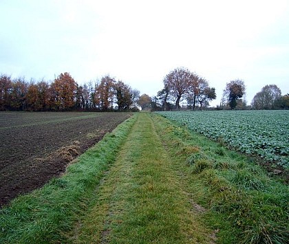 La Vieille Route (The Old Road)