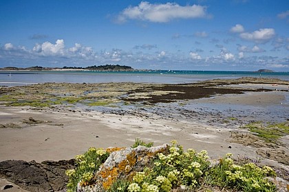 Le port d'été de la Houle Causseul