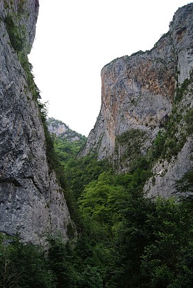 Les gorges de la Frau