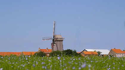 Moulin Noordmeulen