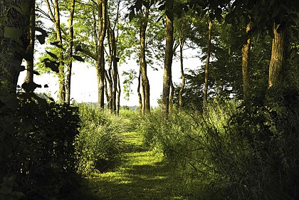 Jardin du Lansau