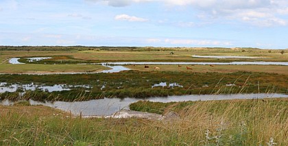 Réserve naturelle ornythologique du platier d'Oye plage