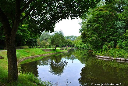 Bois des forts