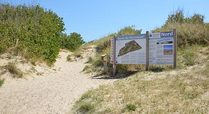 Dune du perroquet