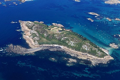 Pointe fdgdf
